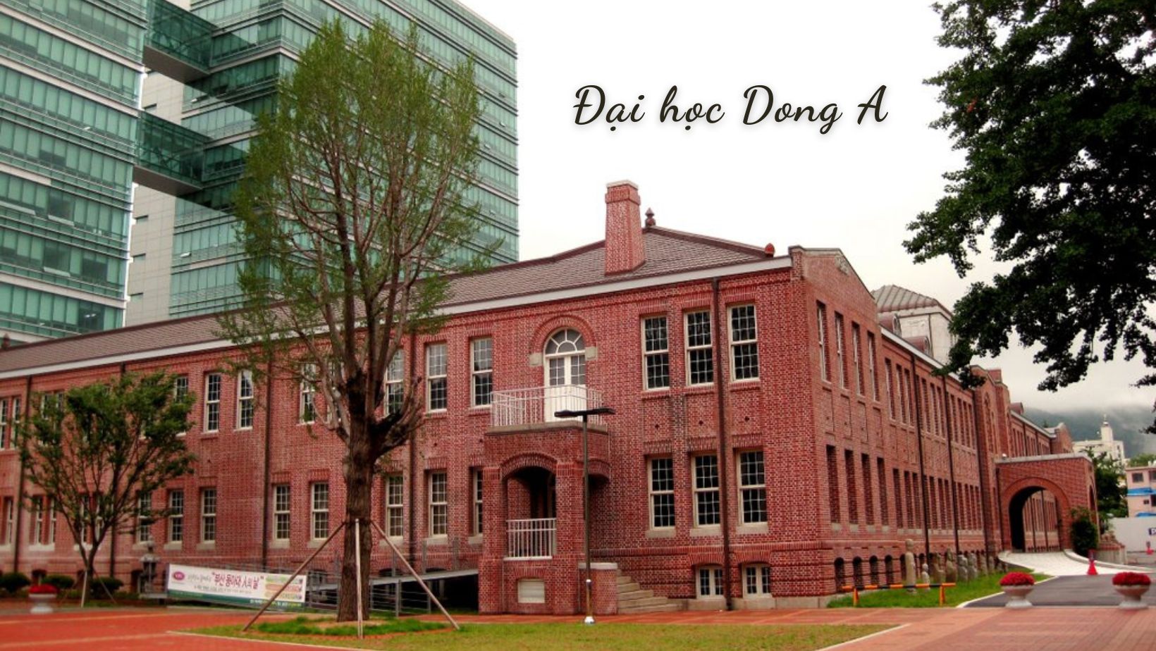 TRƯỜNG ĐẠI HỌC DONGA HÀN QUỐC – 동아대학교